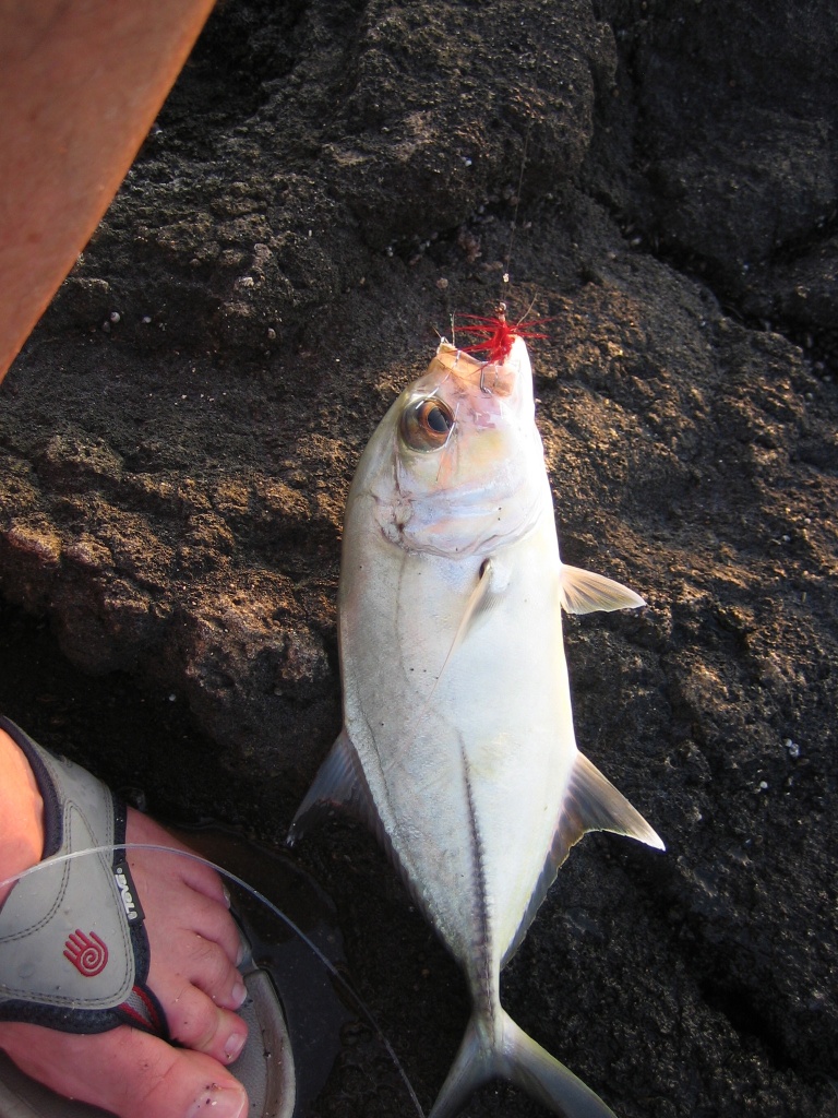 Fly Fishing Hawaii Big Island